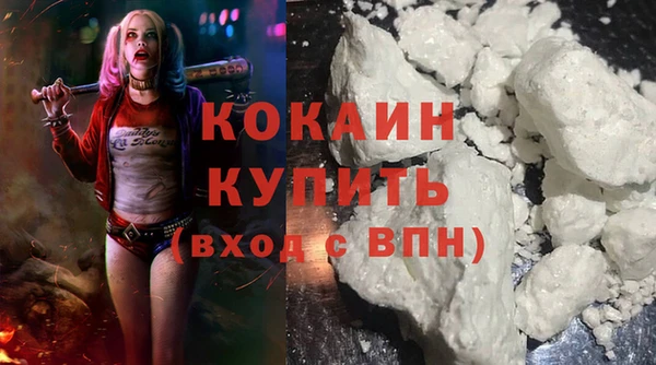 шишки Армянск