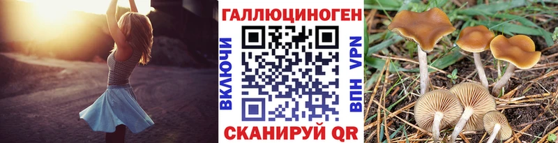 где продают наркотики Спасск-Дальний KRAKEN онион Галлюциногенные грибы MAGIC MUSHROOMS